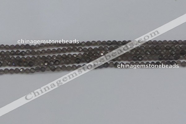 CTG640 15.5 inches 3mm faceted round smoky black obsidian beads