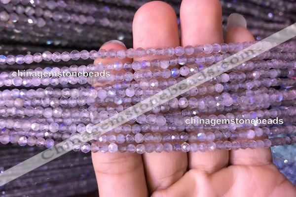 CTG702 15.5 inches 4mm faceted round tiny labradorite beads