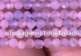 CTG710 15.5 inches 2mm faceted round tiny morganite beads