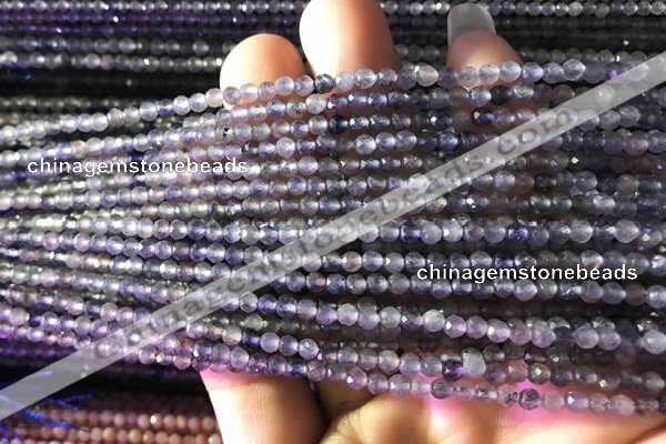 CTG750 15.5 inches 2mm faceted round tiny iolite beads wholesale