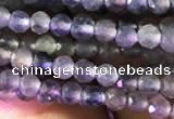 CTG751 15.5 inches 3mm faceted round tiny iolite beads wholesale