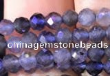 CTG754 15.5 inches 3mm faceted round tiny iolite gemstone beads