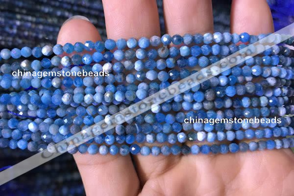 CTG760 15.5 inches 3mm faceted round tiny apatite gemstone beads