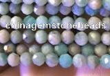 CTG774 15.5 inches 2mm faceted round tiny amazonite beads wholesale