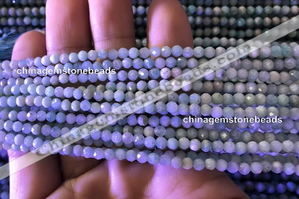 CTG775 15.5 inches 3mm faceted round tiny amazonite beads wholesale