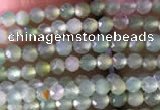 CTG821 15.5 inches 2mm faceted round tiny Australia chrysoprase beads