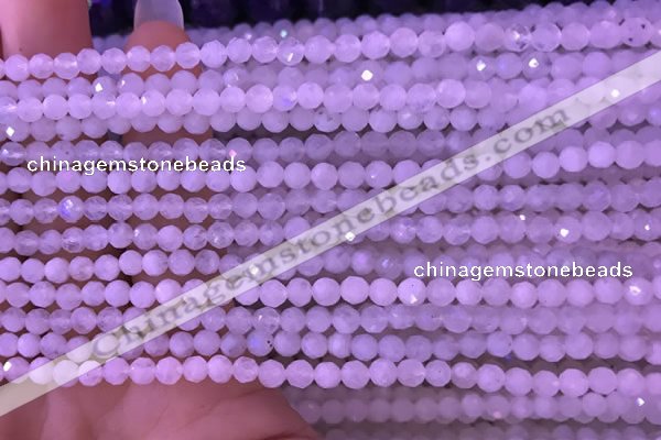 CTG831 15.5 inches 3mm faceted round tiny white moonstone beads