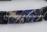 CTW376 15.5 inches 15*20mm twisted rectangle sodalite gemstone beads