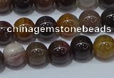 CWJ502 15.5 inches 8mm round Xinjiang wood jasper beads wholesale