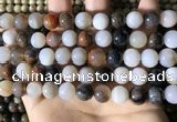 CWJ571 15.5 inches 10mm round Arizona petrified wood jasper beads
