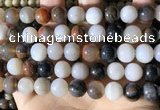 CWJ572 15.5 inches 12mm round Arizona petrified wood jasper beads