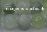 CXJ204 15.5 inches 12mm round New jade beads wholesale