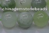 CXJ206 15.5 inches 16mm round New jade beads wholesale