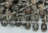 CZJ15 16 inches 6*8mm teardrop zebra jasper gemstone beads wholesale