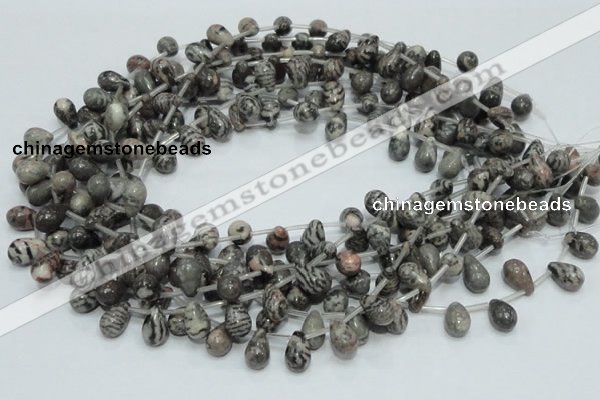 CZJ16 16 inches 8*12mm teardrop zebra jasper gemstone beads wholesale