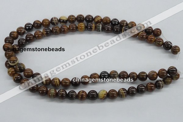 CZJ171 15.5 inches 10mm round iron zebra jasper beads wholesale