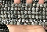 CZJ411 15.5 inches 6mm round green zebra jasper beads wholesale