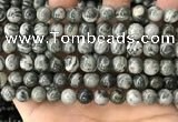 CZJ412 15.5 inches 8mm round green zebra jasper beads wholesale