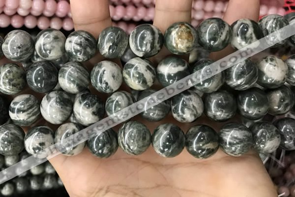 CZJ415 15.5 inches 14mm round green zebra jasper beads wholesale