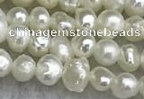 FWP11 14.5 inches 2.8mm potato white freshwater pearl strands