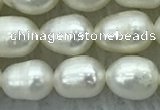 FWP174 14.5 inches 5mm - 6mm rice white freshwater pearl strands