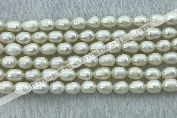 FWP174 14.5 inches 5mm - 6mm rice white freshwater pearl strands