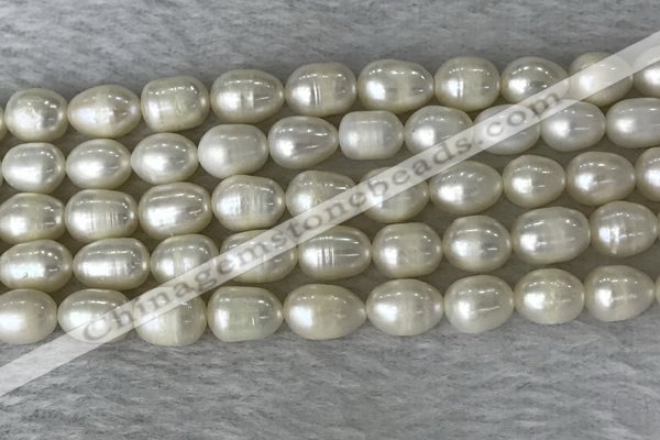 FWP190 15 inches 7mm - 8mm rice white freshwater pearl strands