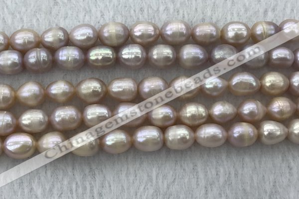FWP197 15 inches 7mm - 8mm rice purple freshwater pearl strands