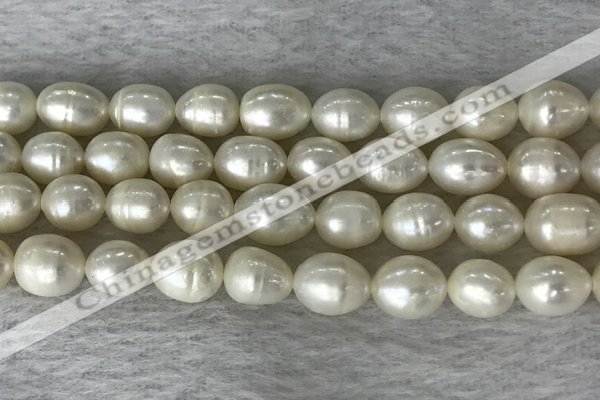 FWP200 15 inches 8mm - 9mm rice white freshwater pearl strands