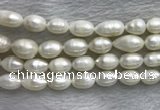 FWP205 15 inches 10mm - 11mm rice white freshwater pearl strands