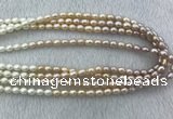 FWP210 15 inches 6mm - 7mm rice mixed color freshwater pearl strands