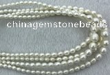 FWP212 15 inches 4mm - 9mm rice white freshwater pearl strands