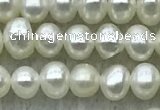 FWP23 14.5 inches 3.2mm - 3.6mm potato white freshwater pearl strands