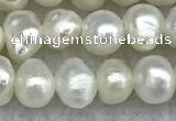 FWP30 14.5 inches 4.5mm potato white freshwater pearl strands