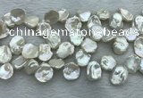 FWP375 Top-drilled 12mm - 15mm keshi freshwater pearl beads