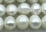 FWP42 14.5 inches 5.5mm - 6mm potato white freshwater pearl strands