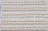 FWP454 half-drilled 5-5.5mm bread freshwater pearl beads