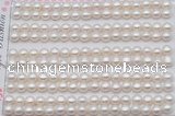 FWP454 half-drilled 5-5.5mm bread freshwater pearl beads