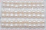 FWP461 half-drilled 8.5-9mm bread freshwater pearl beads