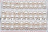 FWP462 half-drilled 9-9.5mm bread freshwater pearl beads