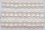 FWP462 half-drilled 9-9.5mm bread freshwater pearl beads