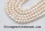 FWP480 14 inches 5mm - 6mm potato white freshwater pearl strands