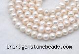 FWP482 14 inches 7mm - 8mm potato white freshwater pearl strands