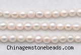 FWP488 14.5 inches 10mm - 11mm potato white freshwater pearl strands