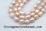 FWP502 14 inches 10mm - 11mm baroque lavender freshwater pearl strands