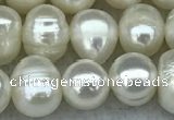 FWP55 15 inches 6mm - 7mm potato white freshwater pearl strands