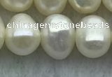 FWP59 15 inches 6mm - 7mm potato white freshwater pearl strands