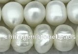 FWP65 15 inches 7mm - 8mm potato white freshwater pearl strands