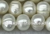 FWP70 15 inches 7mm - 8mm potato white freshwater pearl strands