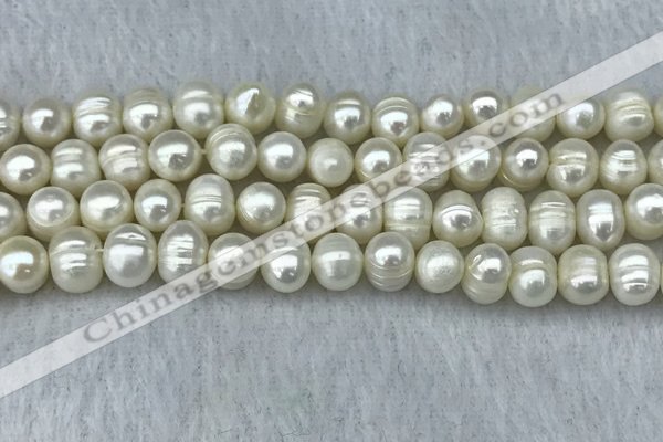 FWP70 15 inches 7mm - 8mm potato white freshwater pearl strands